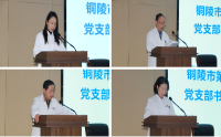 铜陵市第二人民医院召开2025年度党支部书记抓党建工作述职评议考核会