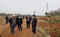 张云龙调研市二院帮扶村——周岗村特色种植基地项目进展情况