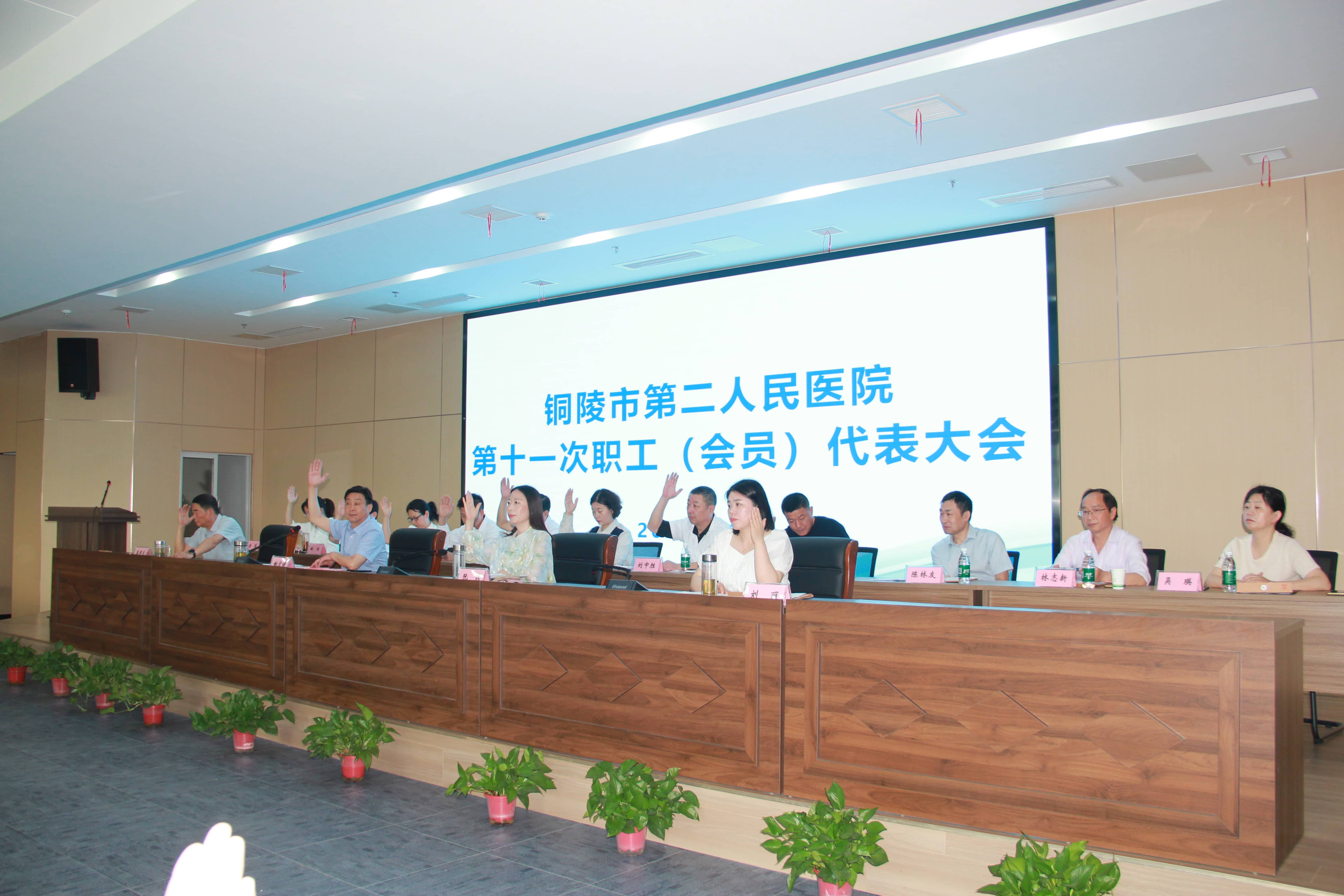 正式会表决1(1)